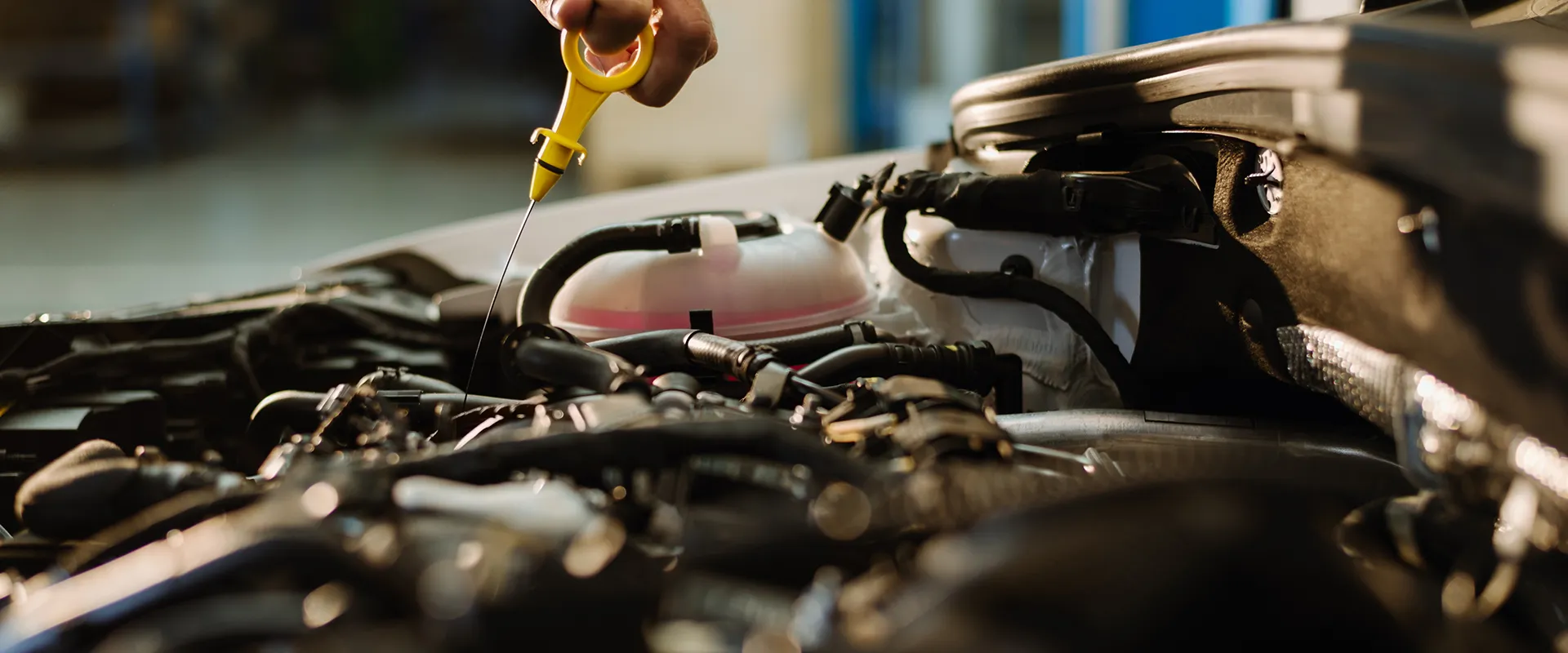Oil Change & Full Service near Virginia