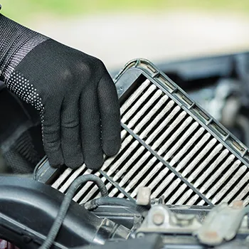 Spring Maintenance in Virginia