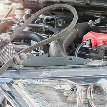 Summer Maintenance in Virginia