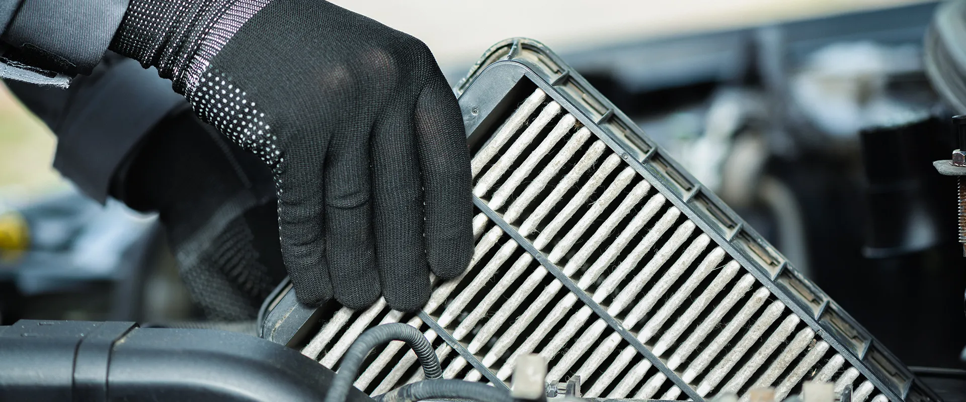 Spring Maintenance near Virginia