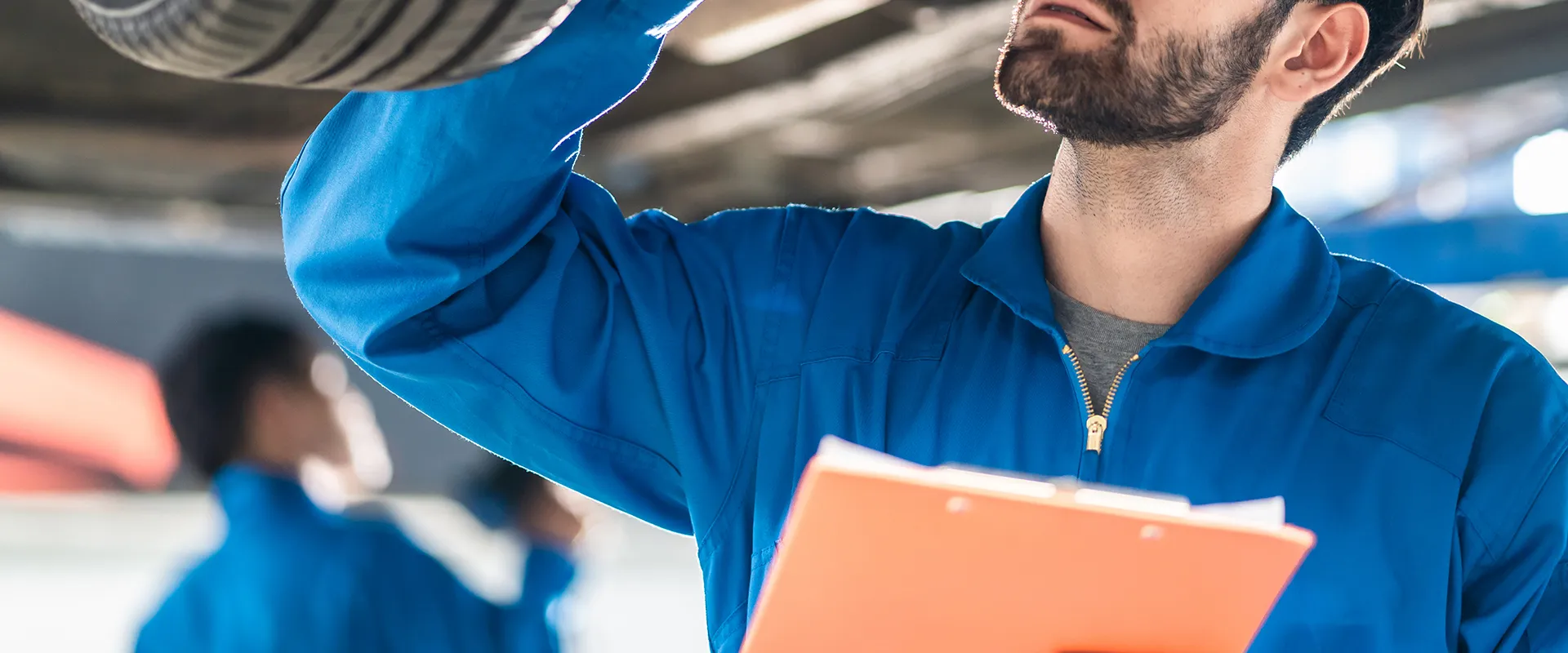 Fall Maintenance in Northern Virginia near Virginia