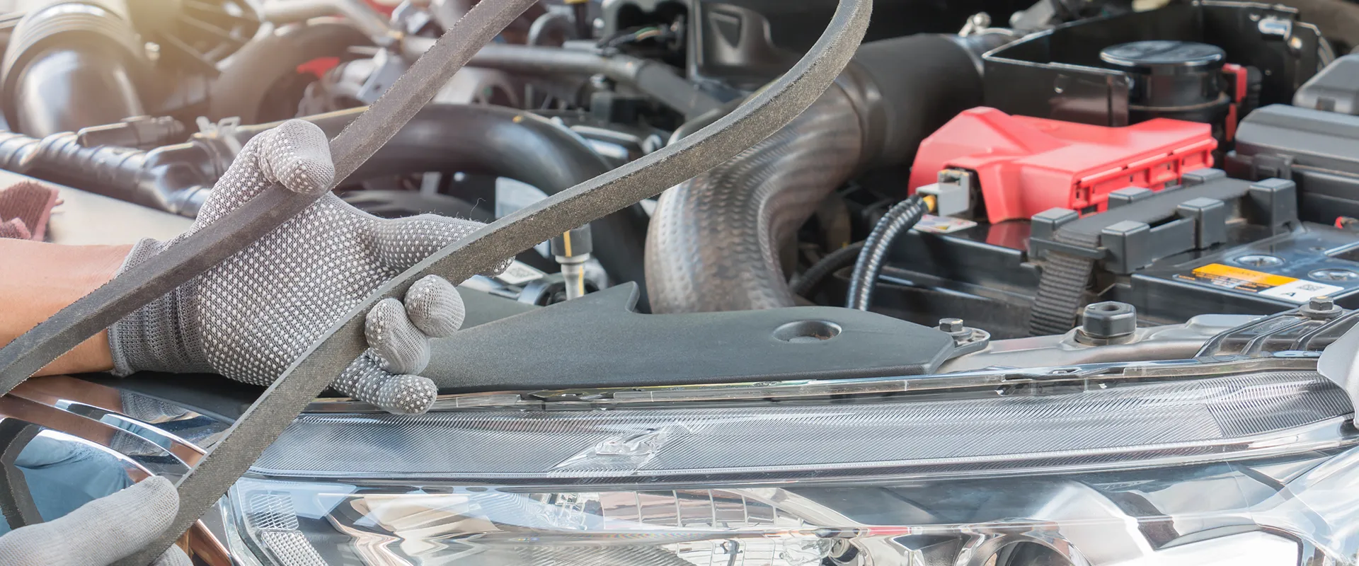 Summer Maintenance near Virginia