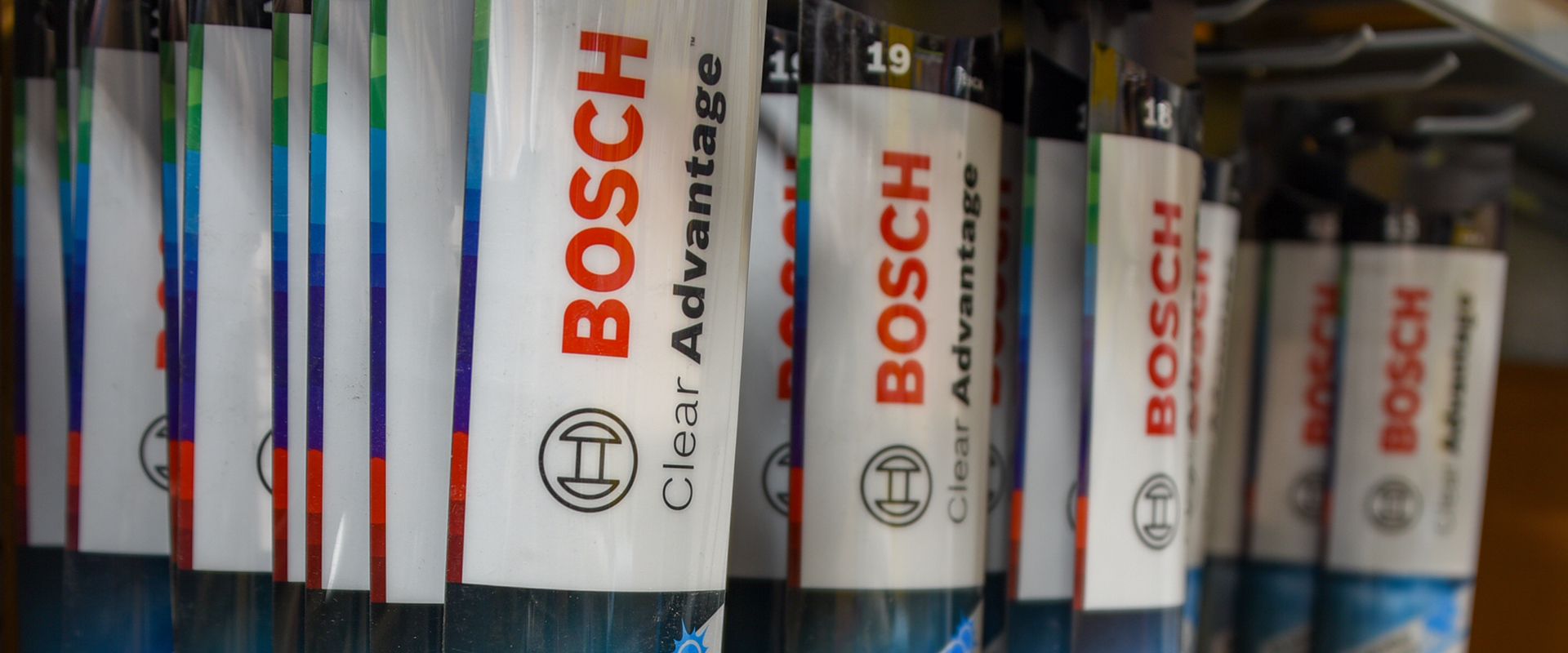 Fall Maintenance in Northern Virginia near Virginia